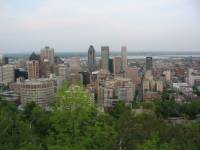 A View from Mount Royal